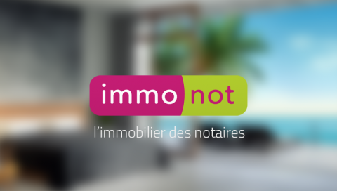 Immonot.com : l'interview