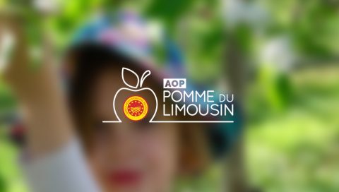 Pomme du Limousin